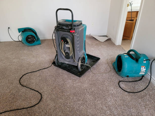 Best Mold removal after water damage  in Lewisville, WA
