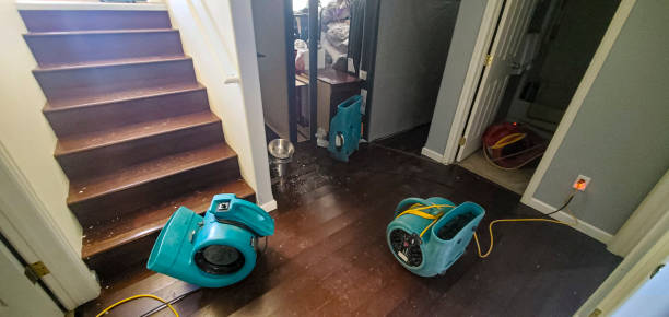 Best Flood damage cleanup  in Lewisville, WA