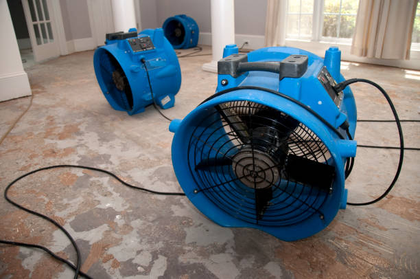 Best Local water damage restoration  in Lewisville, WA