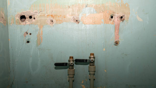 Best Flooded house restoration  in Lewisville, WA