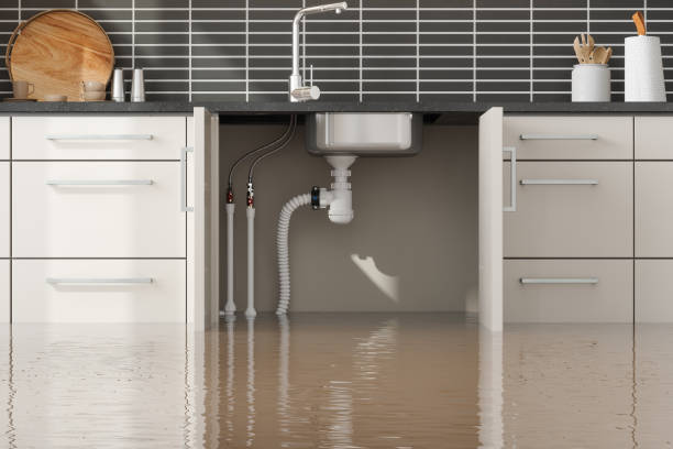 Best Basement water damage restoration  in Lewisville, WA