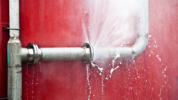 Best Fire Damage Restoration  in Lewisville, WA