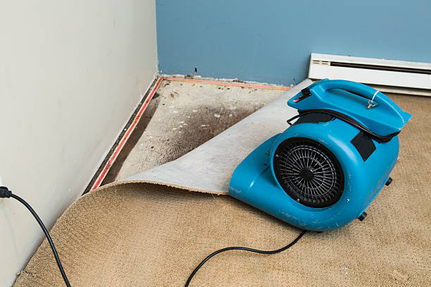 Best Residential water damage restoration  in Lewisville, WA